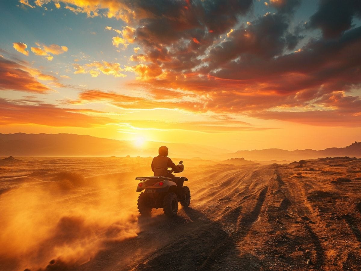 Camel Ride and Quad Bike