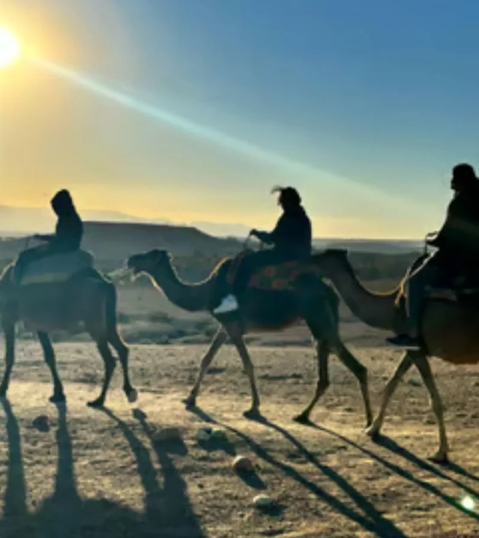 Travelers enjoy a scenic Agafay Desert camel ride at sunset, with the desert’s golden hues and a promise of a delicious Moroccan dinner.