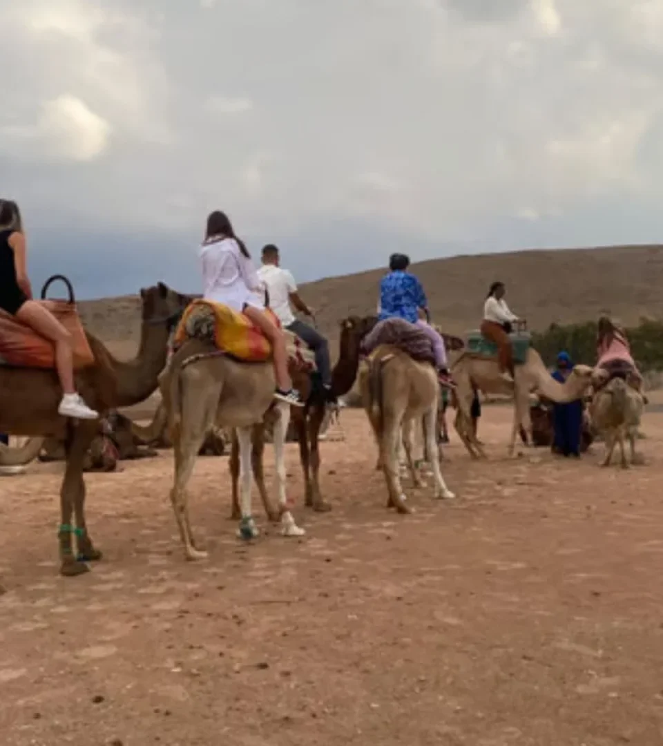 Travelers enjoy an Agafay Desert dinner and camel ride, with camels carrying guests through the beautiful desert landscape before a tasty meal.