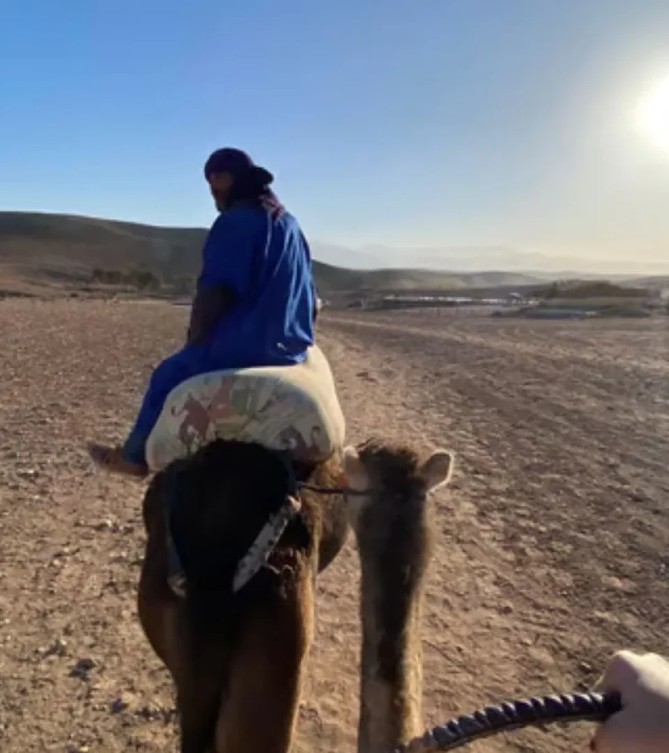 A traveler enjoys a sunset camel ride in the Agafay Desert, capturing the serene beauty of the desert landscape as the sun sets.